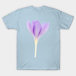 Crocus goulimyi   AGM  Autumn flowering crocus T-Shirt